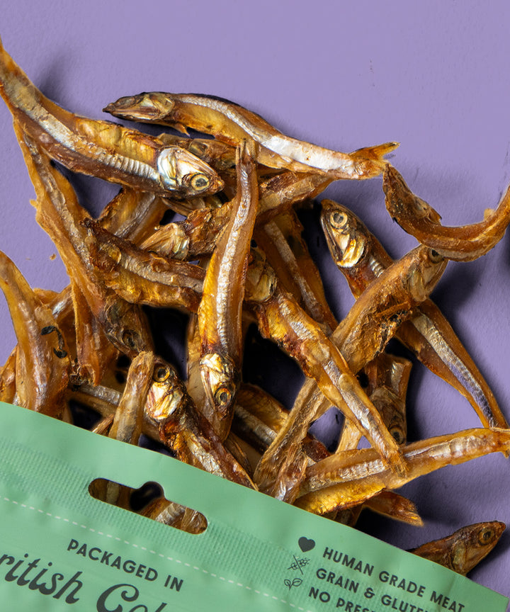 SUN-DRIED SARDINE TREATS